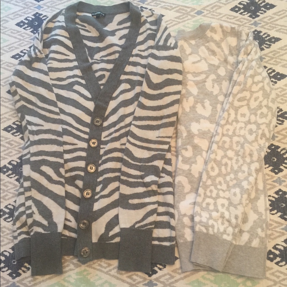 Two Express Animal Print Sweaters